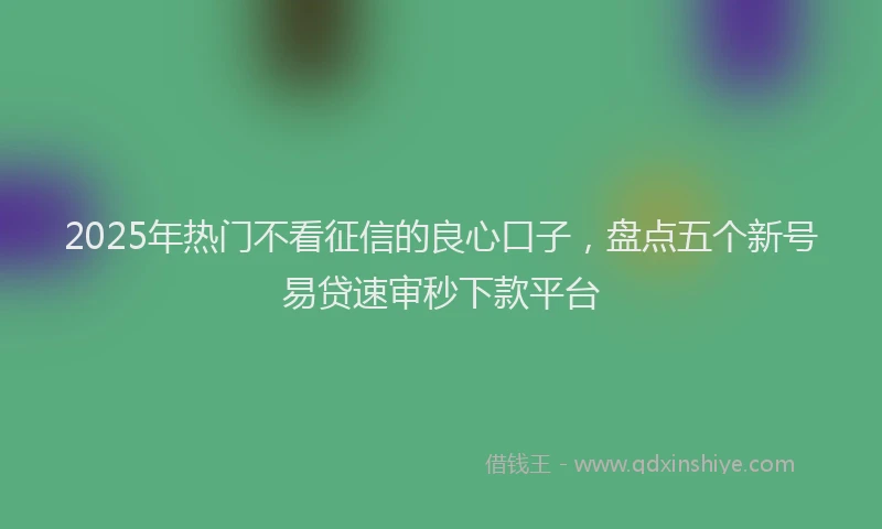 2025年热门不看征信的良心口子，盘点五个新号易贷速审秒下款平台