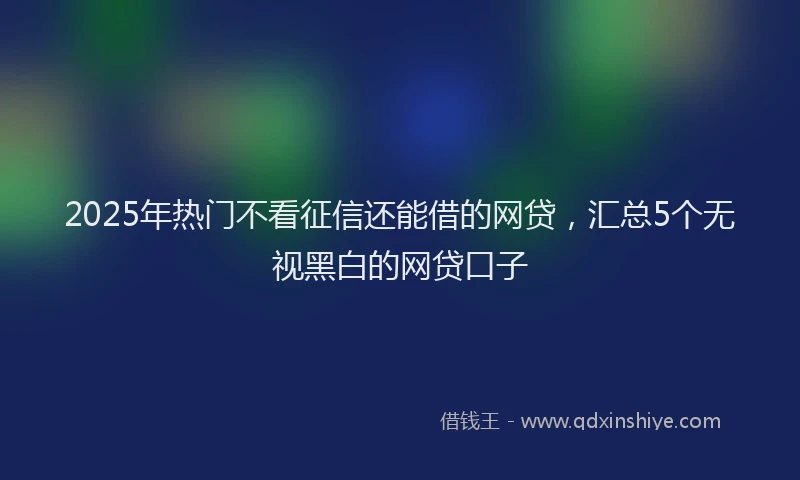 2025年热门不看征信还能借的网贷，汇总5个无视黑白的网贷口子