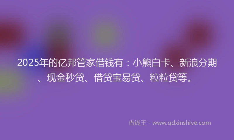 2025年的亿邦管家借钱有：小熊白卡、新浪分期、现金秒贷、借贷宝易贷、粒粒贷等。