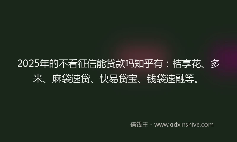 2025年的不看征信能贷款吗知乎有：桔享花、多米、麻袋速贷、快易贷宝、钱袋速融等。