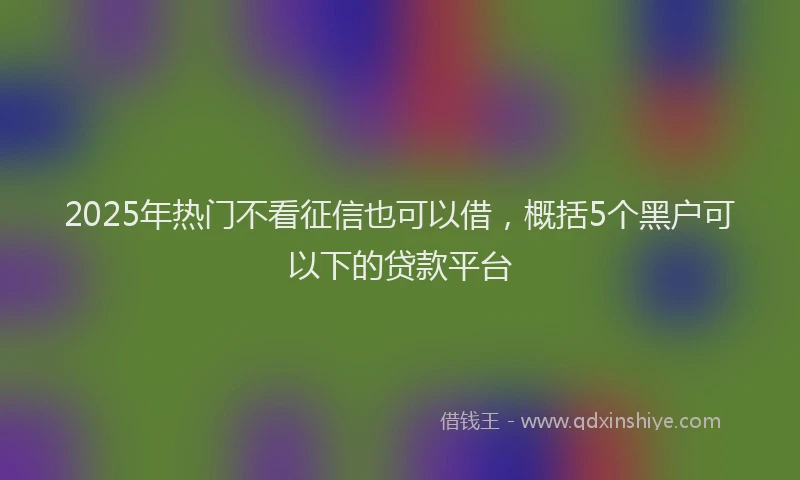 2025年热门不看征信也可以借，概括5个黑户可以下的贷款平台
