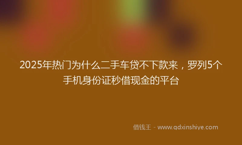 2025年热门为什么二手车贷不下款来，罗列5个手机身份证秒借现金的平台