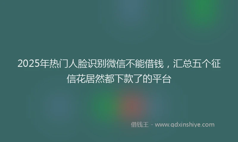 2025年热门人脸识别微信不能借钱，汇总五个征信花居然都下款了的平台