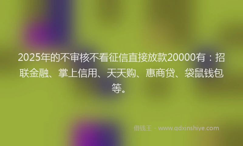 2025年的不审核不看征信直接放款20000有：招联金融、掌上信用、天天购、惠商贷、袋鼠钱包等。