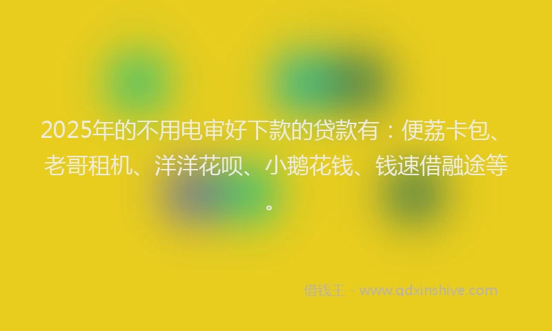 2025年的不用电审好下款的贷款有：便荔卡包、老哥租机、洋洋花呗、小鹅花钱、钱速借融途等。