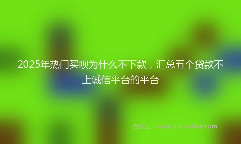 2025年热门买呗为什么不下款，汇总五个贷款不上诚信平台的平台