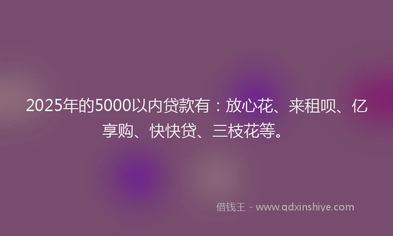 2025年的5000以内贷款有：放心花、来租呗、亿享购、快快贷、三枝花等。