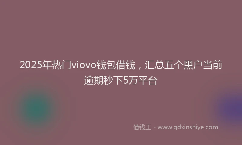 2025年热门viovo钱包借钱，汇总五个黑户当前逾期秒下5万平台