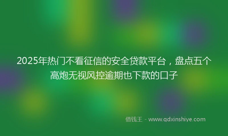 2025年热门不看征信的安全贷款平台，盘点五个高炮无视风控逾期也下款的口子