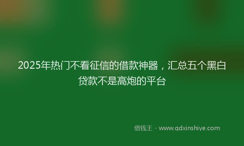 2025年热门不看征信的借款神器，汇总五个黑白贷款不是高炮的平台