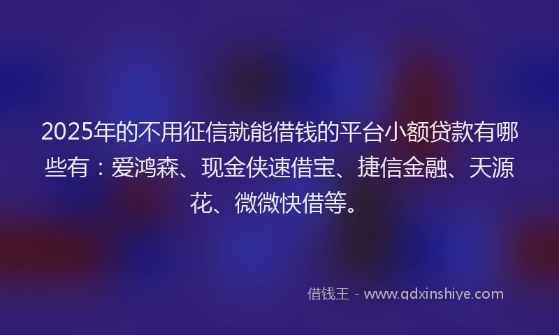 2025年的不用征信就能借钱的平台小额贷款有哪些有：爱鸿森、现金侠速借宝、捷信金融、天源花、微微快借等。