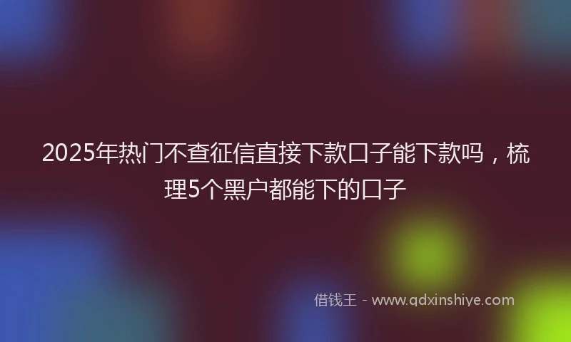 2025年热门不查征信直接下款口子能下款吗，梳理5个黑户都能下的口子