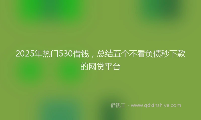 2025年热门530借钱，总结五个不看负债秒下款的网贷平台