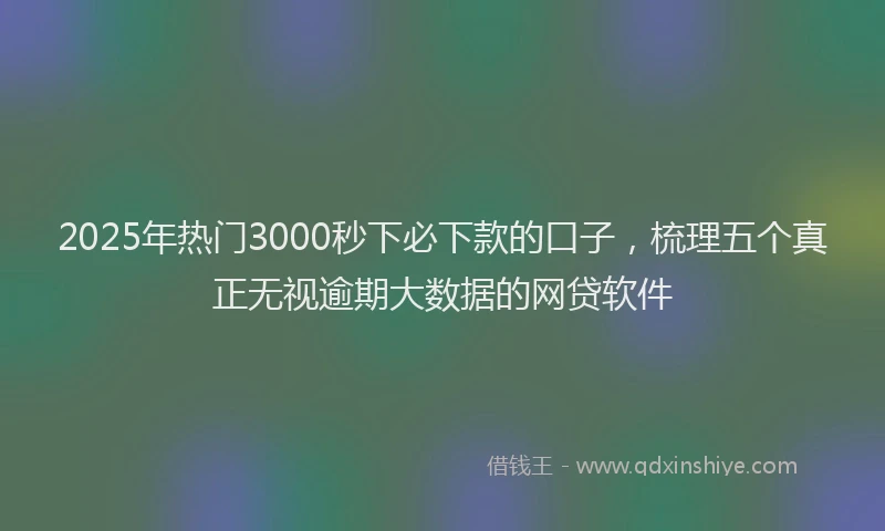 2025年热门3000秒下必下款的口子，梳理五个真正无视逾期大数据的网贷软件