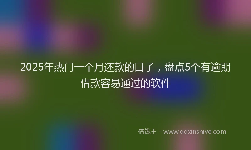 2025年热门一个月还款的口子，盘点5个有逾期借款容易通过的软件