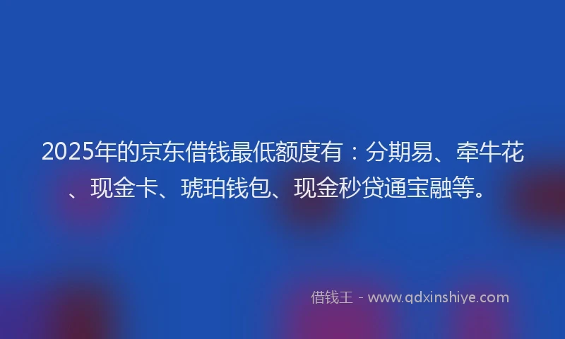 2025年的京东借钱最低额度有：分期易、牵牛花、现金卡、琥珀钱包、现金秒贷通宝融等。