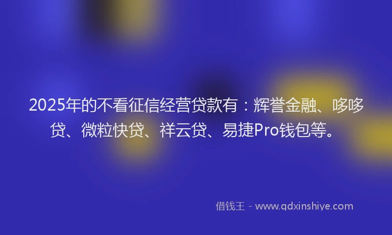 2025年的不看征信经营贷款有：辉誉金融、哆哆贷、微粒快贷、祥云贷、易捷Pro钱包等。