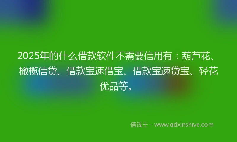 2025年的什么借款软件不需要信用有：葫芦花、橄榄信贷、借款宝速借宝、借款宝速贷宝、轻花优品等。