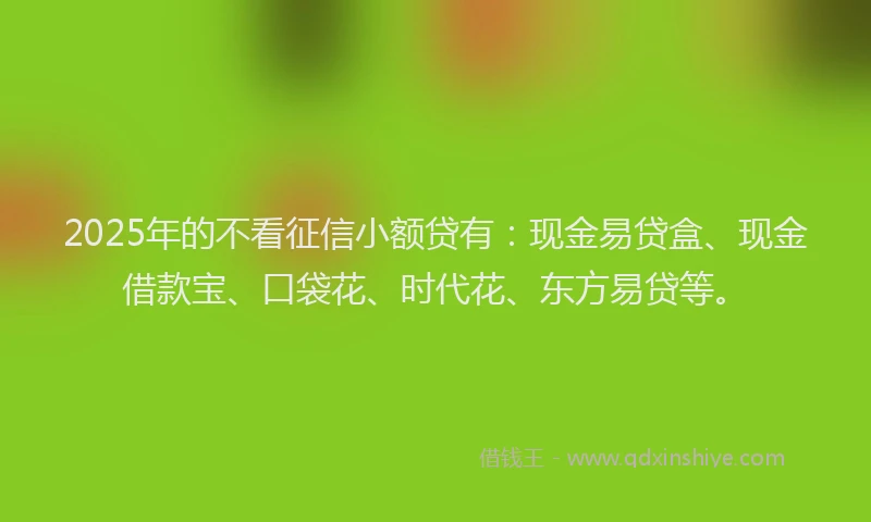2025年的不看征信小额贷有：现金易贷盒、现金借款宝、口袋花、时代花、东方易贷等。