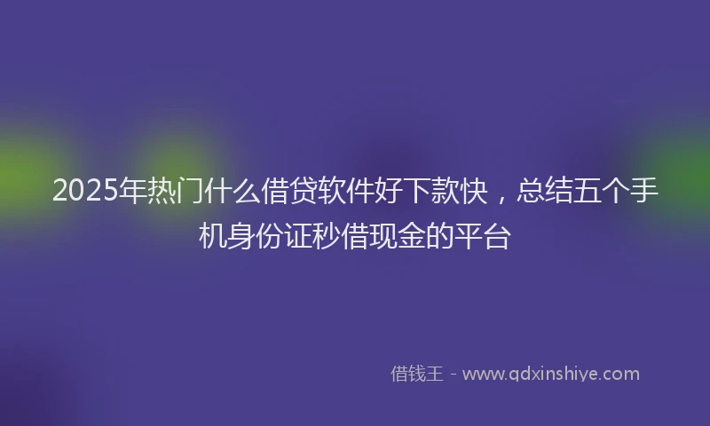 2025年热门什么借贷软件好下款快，总结五个手机身份证秒借现金的平台