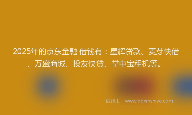 2025年的京东金融 借钱有：星辉贷款、麦芽快借、万盛商城、投友快贷、掌中宝租机等。
