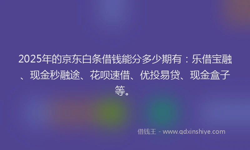 2025年的京东白条借钱能分多少期有：乐借宝融、现金秒融途、花呗速借、优投易贷、现金盒子等。