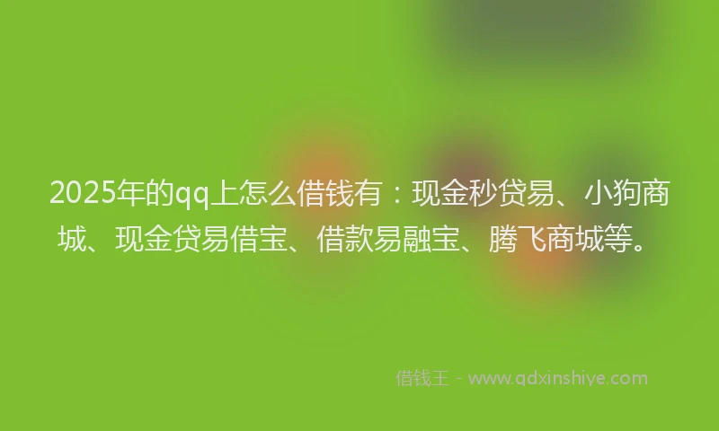 2025年的qq上怎么借钱有：现金秒贷易、小狗商城、现金贷易借宝、借款易融宝、腾飞商城等。