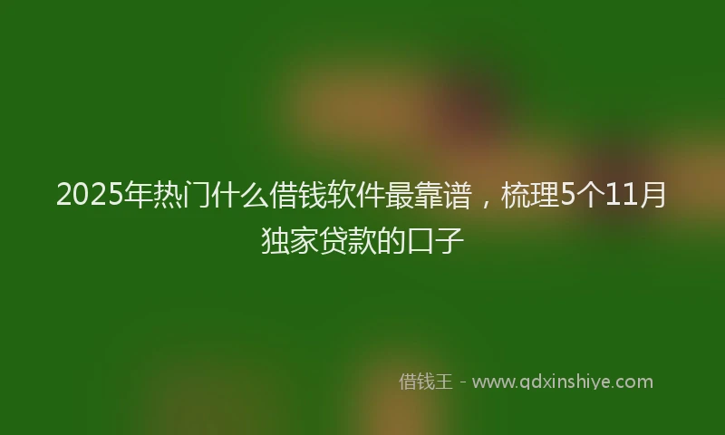 2025年热门什么借钱软件最靠谱，梳理5个11月独家贷款的口子