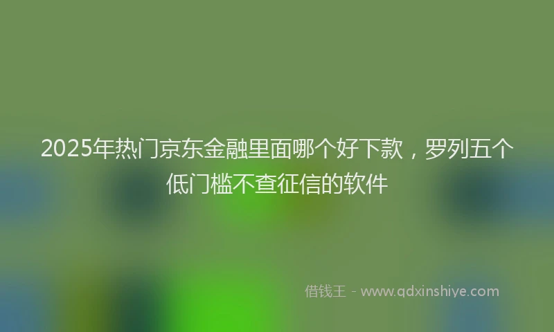 2025年热门京东金融里面哪个好下款，罗列五个低门槛不查征信的软件