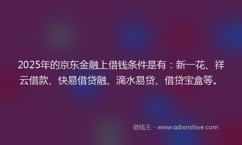 2025年的京东金融上借钱条件是有：新一花、祥云借款、快易借贷融、滴水易贷、借贷宝盒等。