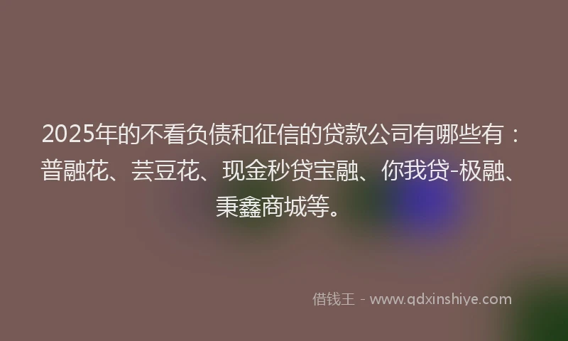 2025年的不看负债和征信的贷款公司有哪些有：普融花、芸豆花、现金秒贷宝融、你我贷-极融、秉鑫商城等。
