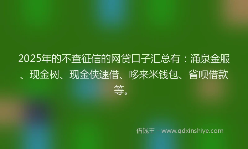 2025年的不查征信的网贷口子汇总有：涌泉金服、现金树、现金侠速借、哆来米钱包、省呗借款等。