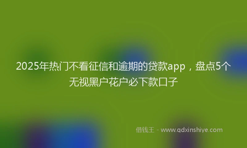 2025年热门不看征信和逾期的贷款app，盘点5个无视黑户花户必下款口子