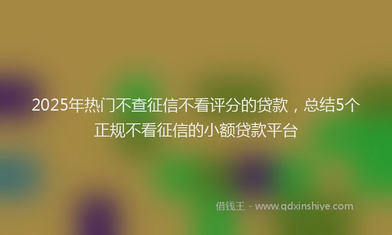 2025年热门不查征信不看评分的贷款，总结5个正规不看征信的小额贷款平台