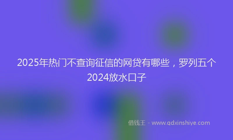 2025年热门不查询征信的网贷有哪些，罗列五个2024放水口子