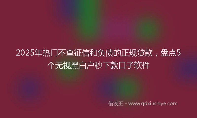 2025年热门不查征信和负债的正规贷款，盘点5个无视黑白户秒下款口子软件