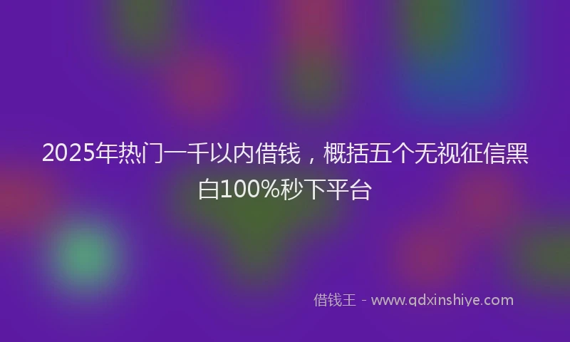 2025年热门一千以内借钱，概括五个无视征信黑白100%秒下平台