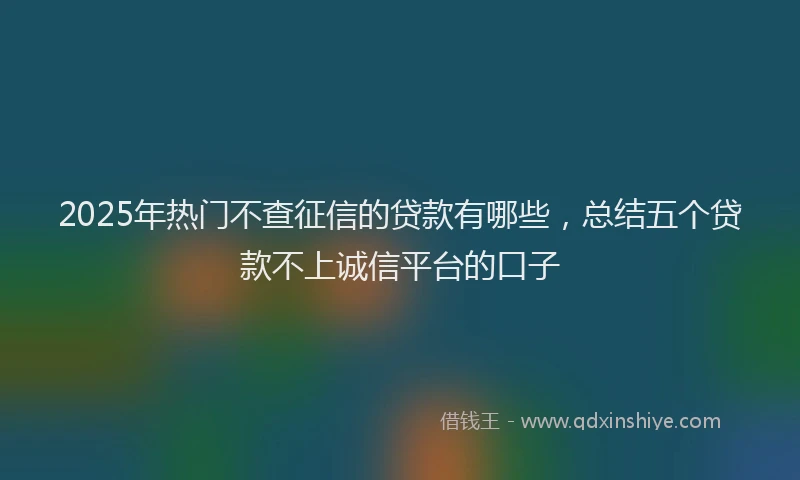 2025年热门不查征信的贷款有哪些，总结五个贷款不上诚信平台的口子