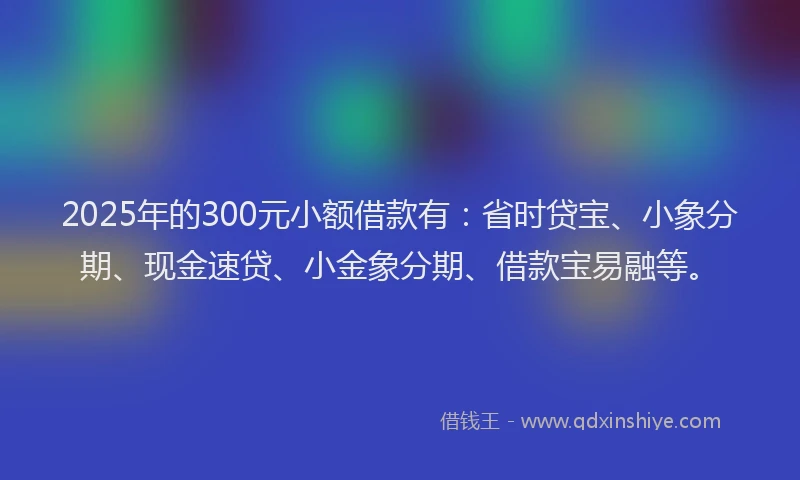 2025年的300元小额借款有：省时贷宝、小象分期、现金速贷、小金象分期、借款宝易融等。