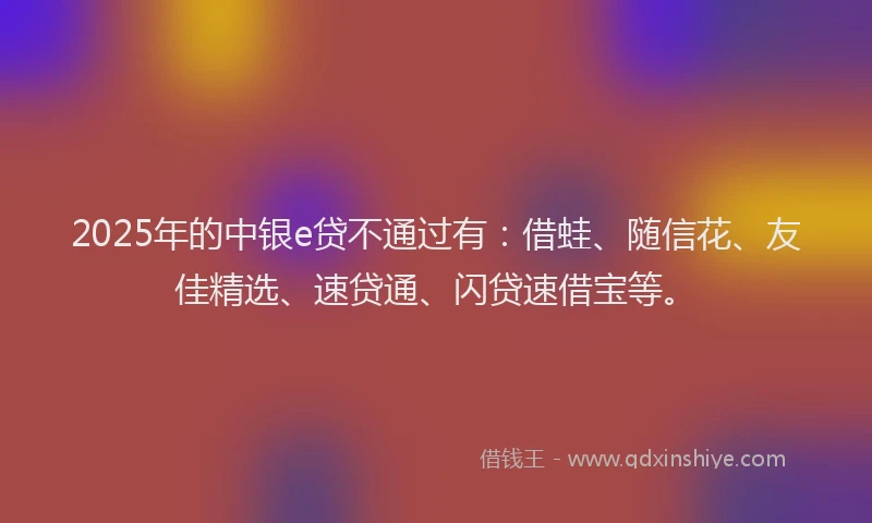 2025年的中银e贷不通过有：借蛙、随信花、友佳精选、速贷通、闪贷速借宝等。