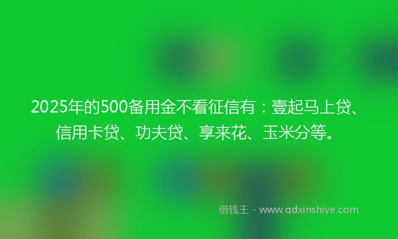 2025年的500备用金不看征信有：壹起马上贷、信用卡贷、功夫贷、享来花、玉米分等。