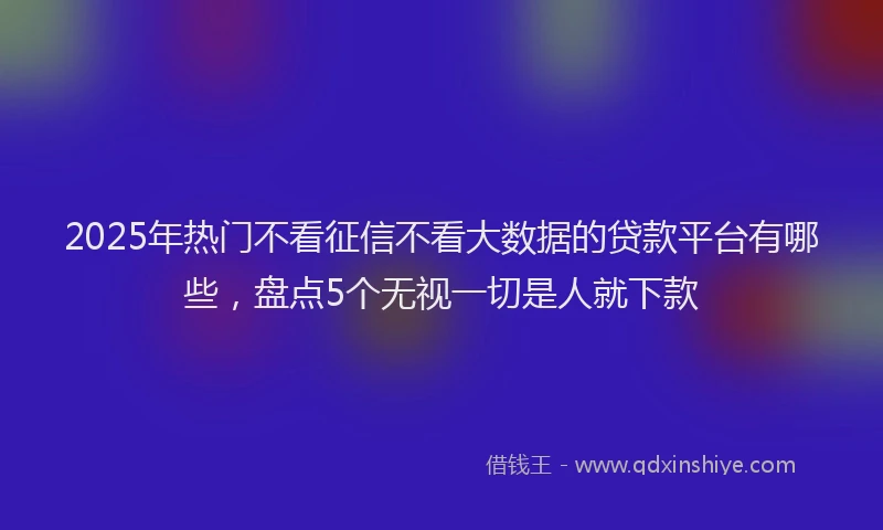 2025年热门不看征信不看大数据的贷款平台有哪些，盘点5个无视一切是人就下款