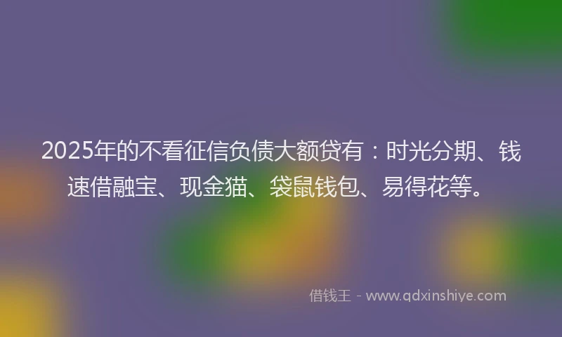 2025年的不看征信负债大额贷有：时光分期、钱速借融宝、现金猫、袋鼠钱包、易得花等。
