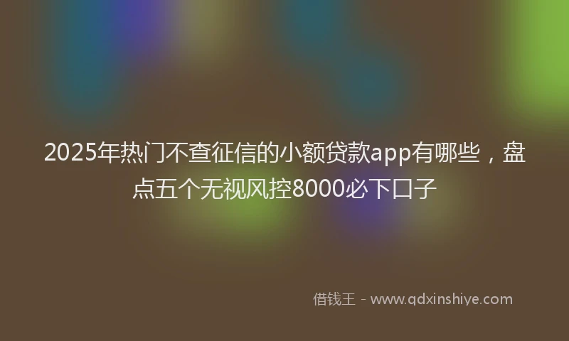 2025年热门不查征信的小额贷款app有哪些，盘点五个无视风控8000必下口子