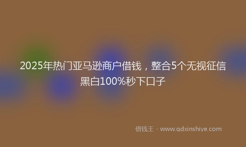 2025年热门亚马逊商户借钱，整合5个无视征信黑白100%秒下口子