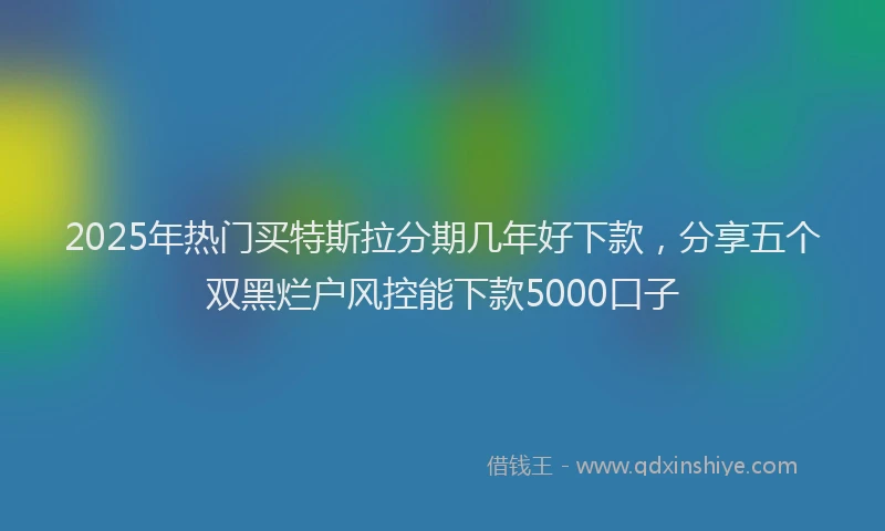2025年热门买特斯拉分期几年好下款，分享五个双黑烂户风控能下款5000口子