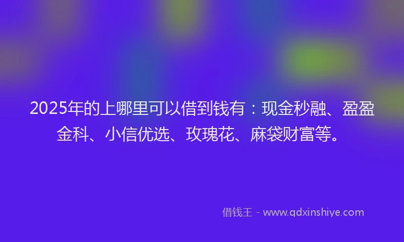 2025年的上哪里可以借到钱有：现金秒融、盈盈金科、小信优选、玫瑰花、麻袋财富等。