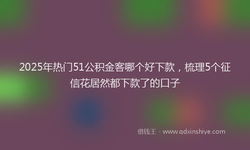 2025年热门51公积金客哪个好下款，梳理5个征信花居然都下款了的口子