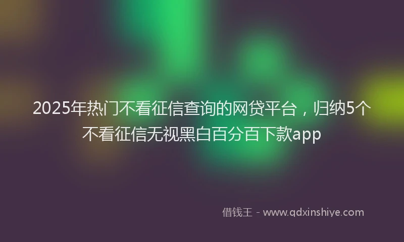 2025年热门不看征信查询的网贷平台，归纳5个不看征信无视黑白百分百下款app