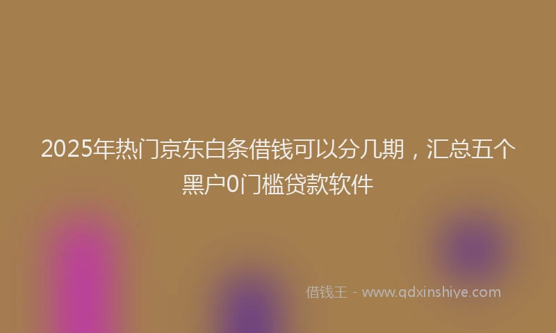2025年热门京东白条借钱可以分几期，汇总五个黑户0门槛贷款软件
